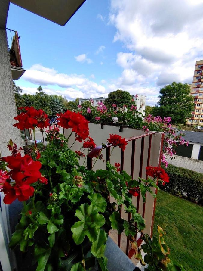 Loft House Sopot Apartament Apartamento Exterior foto